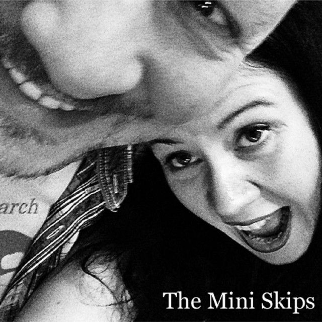 The Mini Skips Photo