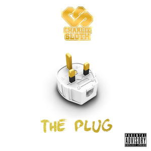 Charlie Sloth Photo