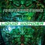 Liquid Wonder Albumcover