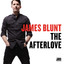 The Afterlove (Bonus Track) cover