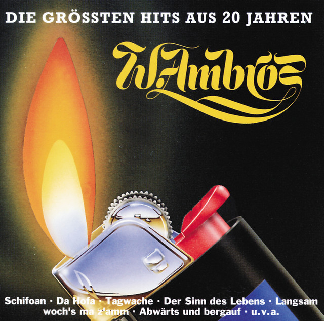 Die Grossten Hits Aus 20 Jahren cover