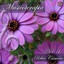Musicoterapia, Vol. 1 (Relax Canaria) Albumcover