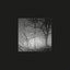 Stille cover