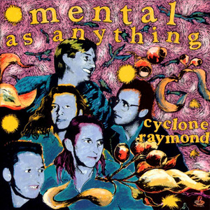 Cyclone Raymond cover