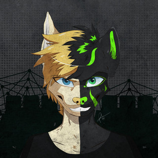 Foxhunt Photo