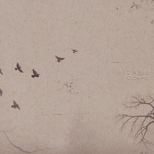 Air 2 A Bird