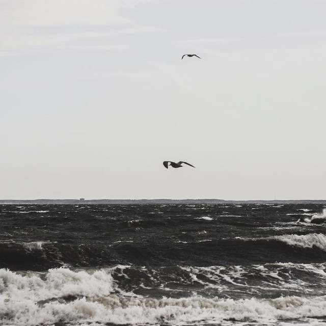 PVNDV Photo