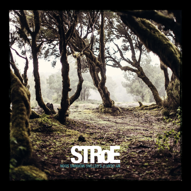 Stroe Photo