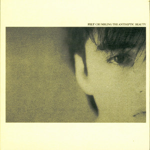 Crumbling the Antiseptic Beauty cover