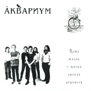 Наша жизнь с точки зрения деревьев cover