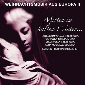 Mitten im kalten Winter - Weihnachtsmusik aus Europa, Vol. II album