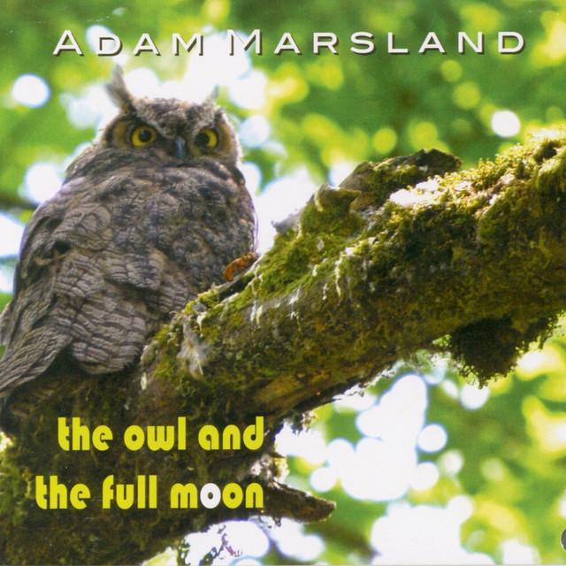 Adam Marsland Photo
