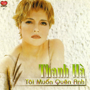 Toi Muon Quen Anh Albumcover