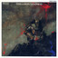 Disillusion cover