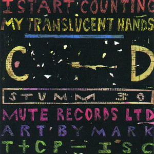 My Translucent Hands cover