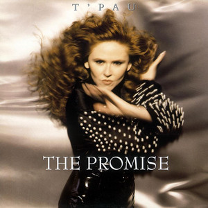 The Promise cover