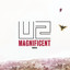Magnificent cover