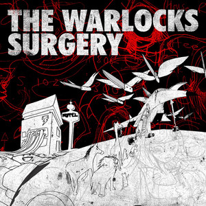 Surgery album