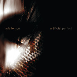 Artificial Perfect album