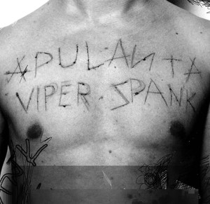 Viper Spank cover
