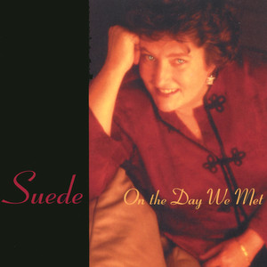 On the Day We Met cover