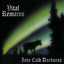 Into Cold Darkness cover
