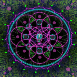 Spirit Canoes cover