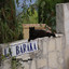 La Baraka cover