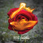 Disenchanted cover