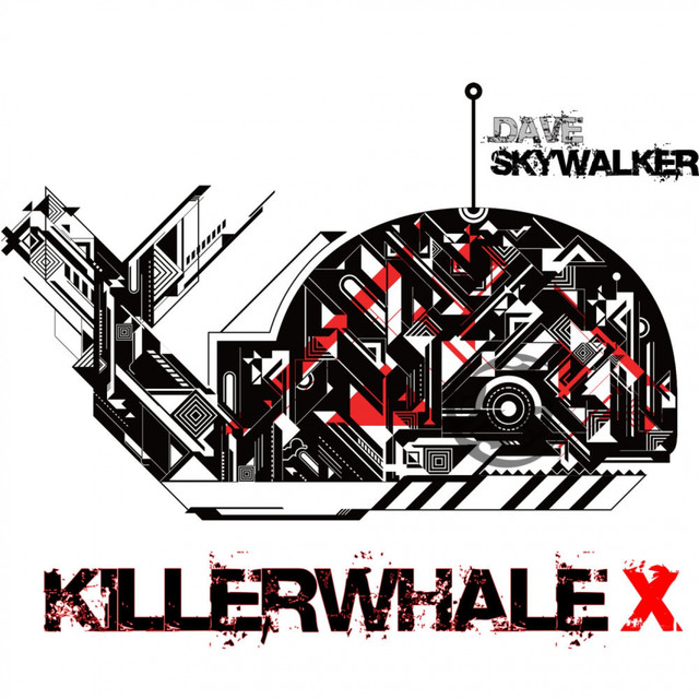 DJ Skywalker Photo