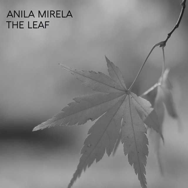 Mirela Photo