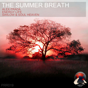 Alex Frada, Energy Life, Swilow & Soul Heaven