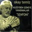 Kuzeyden Güneye Yansımalar Albumcover