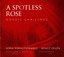 A Spotless Rose: Nordic Christmas Albumcover