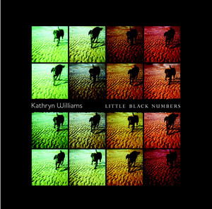 Little Black Numbers cover