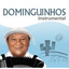 Dominguinhos Instrumental cover