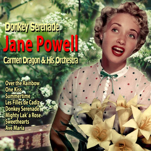 Donkey Serenade album