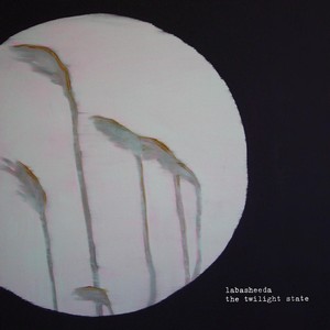 The Twilight State Albumcover