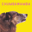 WYSIWYG cover