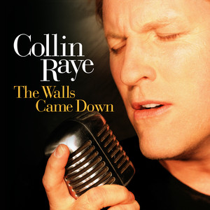 The Walls Came Down album