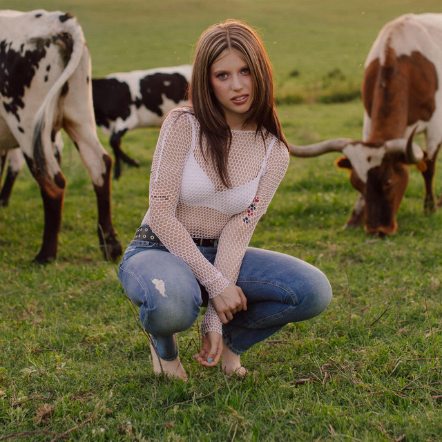Clover photo