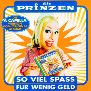 So viel Spaß für wenig Geld cover