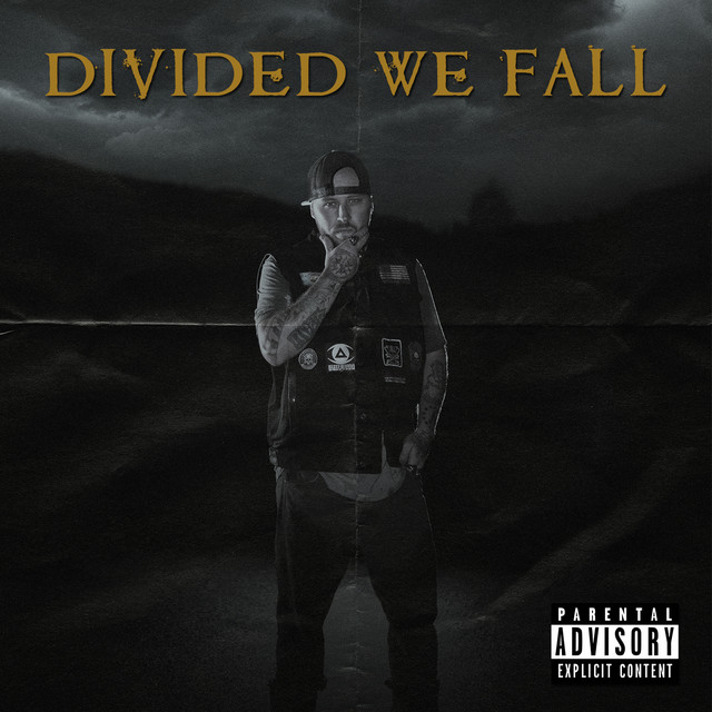 Divided We Fall cover