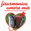 Fisarmonica Amore Mio Albumcover
