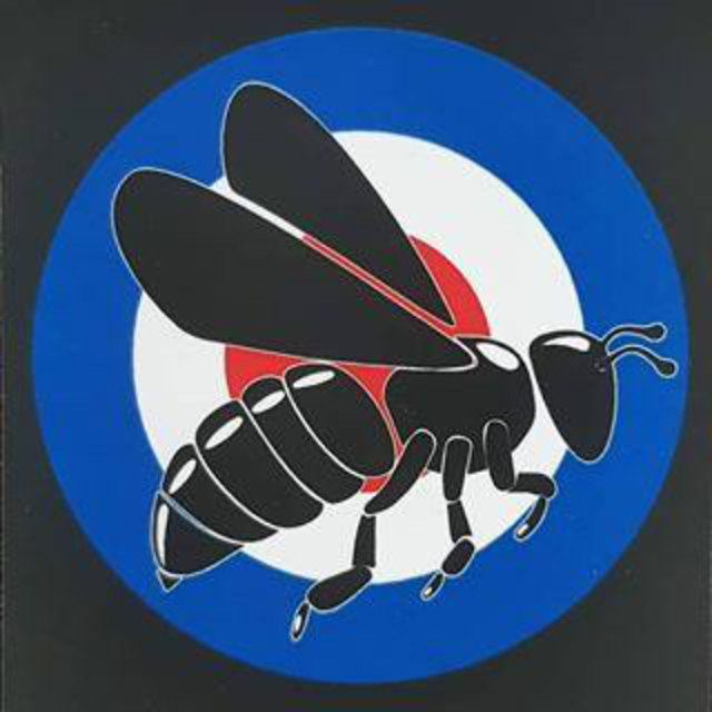 The Hornets photo