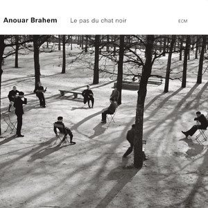 Le pas du chat noir cover
