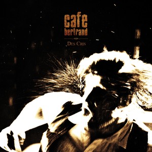 Des cris Albumcover