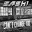 Can't Change You (Remixes) cover