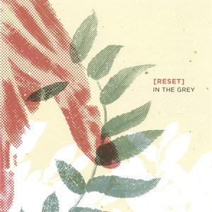 In The Grey album