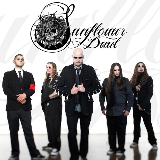 Sunflower Dead cover